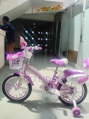 አዲስ ውብ የሴት ልጆች ሳይክል — Brand New Beautiful Girls Bike