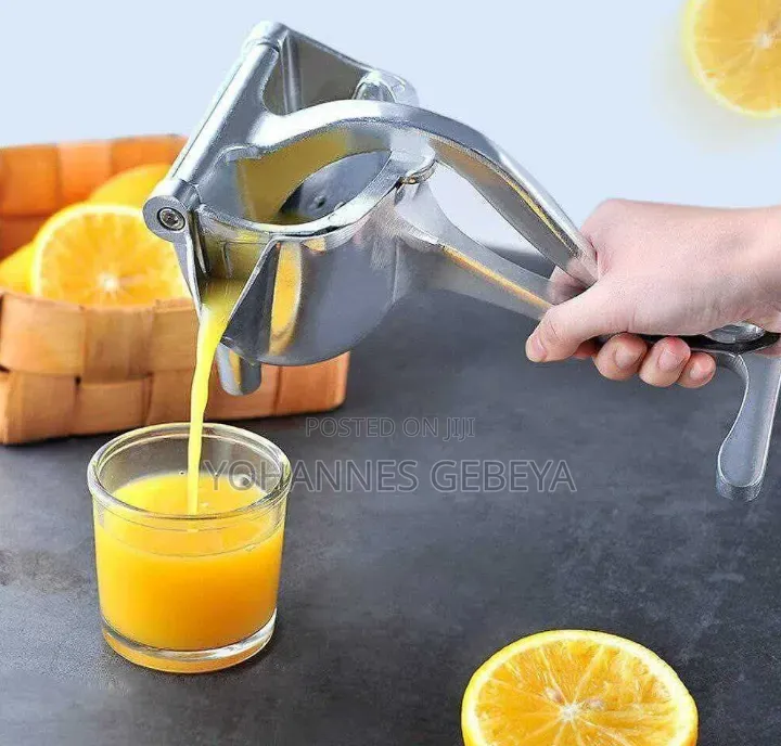 Manual Fruit Press