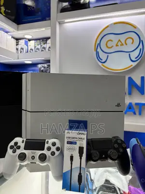 PS4 FAT JB-Version 11.000
