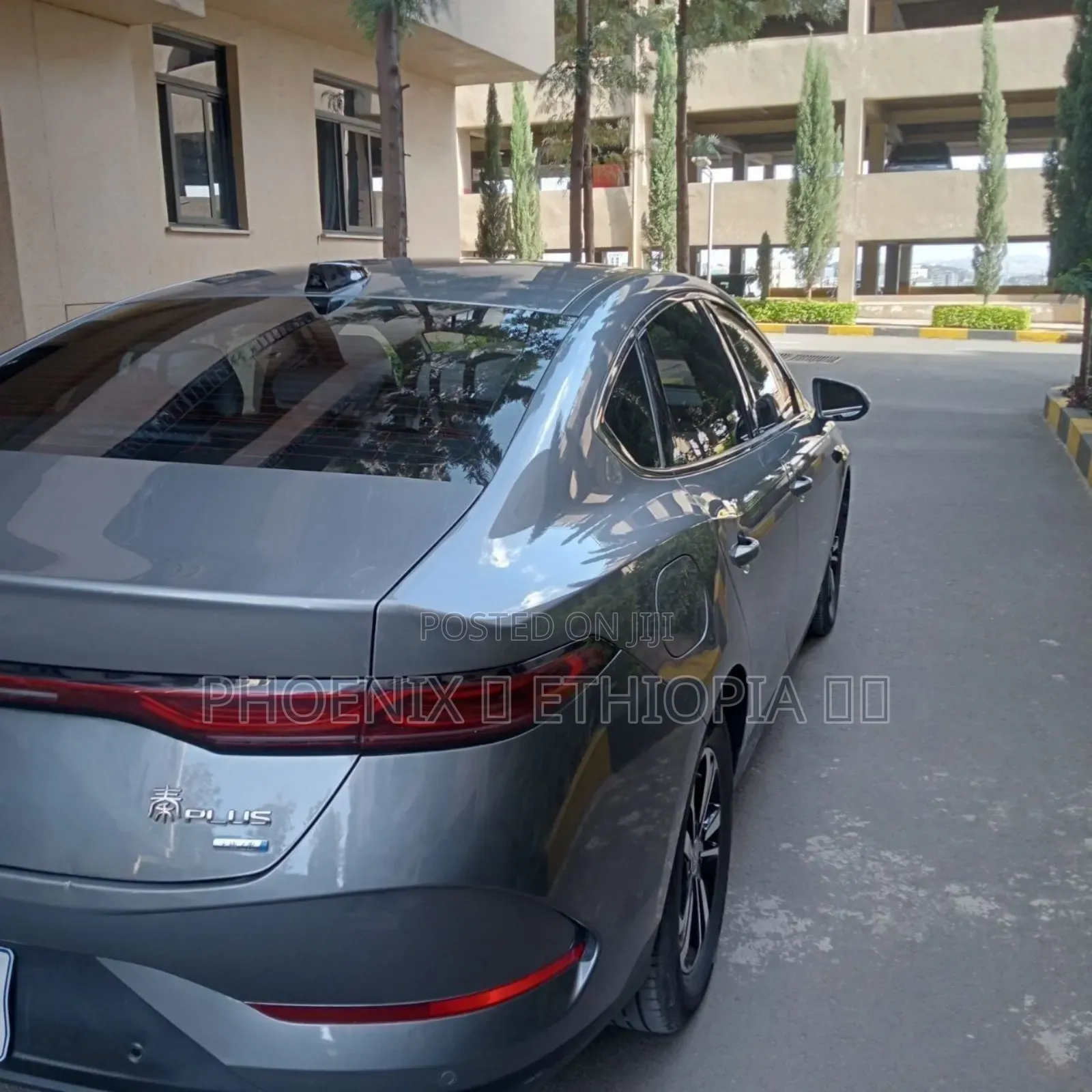 BYD Qin Plus DM-i 2025 Gray