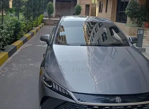 BYD Qin Plus DM-i 2025 Gray