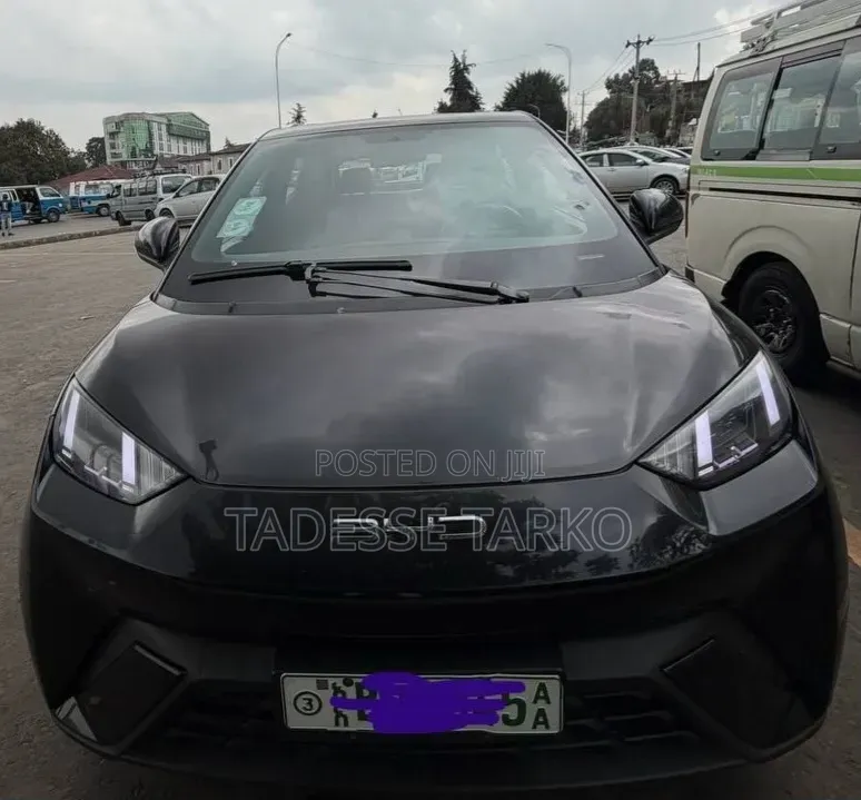 BYD Seagull 2024 Black