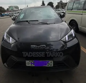 BYD Seagull 2024 Black