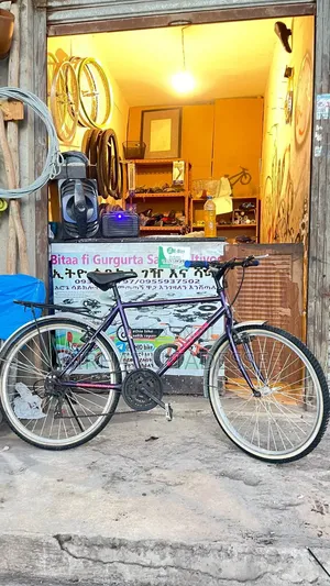 26-Inch Bicycle