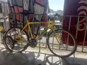 Vortex Original Mountain Bike