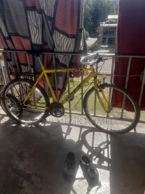 Vortex Original Mountain Bike