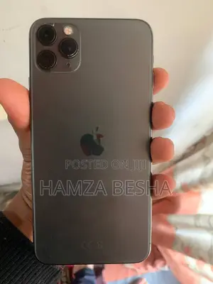 Apple iPhone 11 Pro Max 256 GB Gray