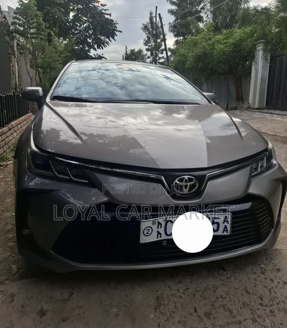 Toyota Corolla L 2022 Gray