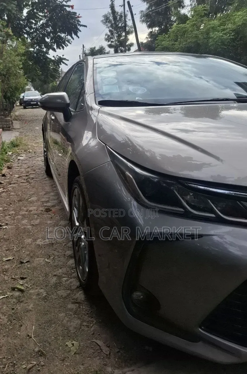 Toyota Corolla L 2022 Gray