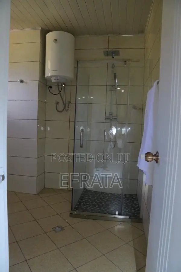 Furnished 1bdrm Apartment in Bole for rent