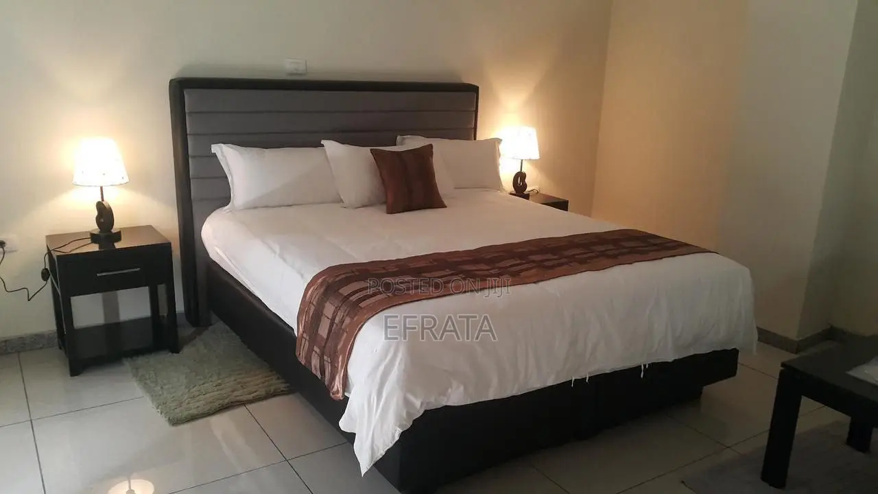 Furnished 1bdrm Apartment in Bole for rent