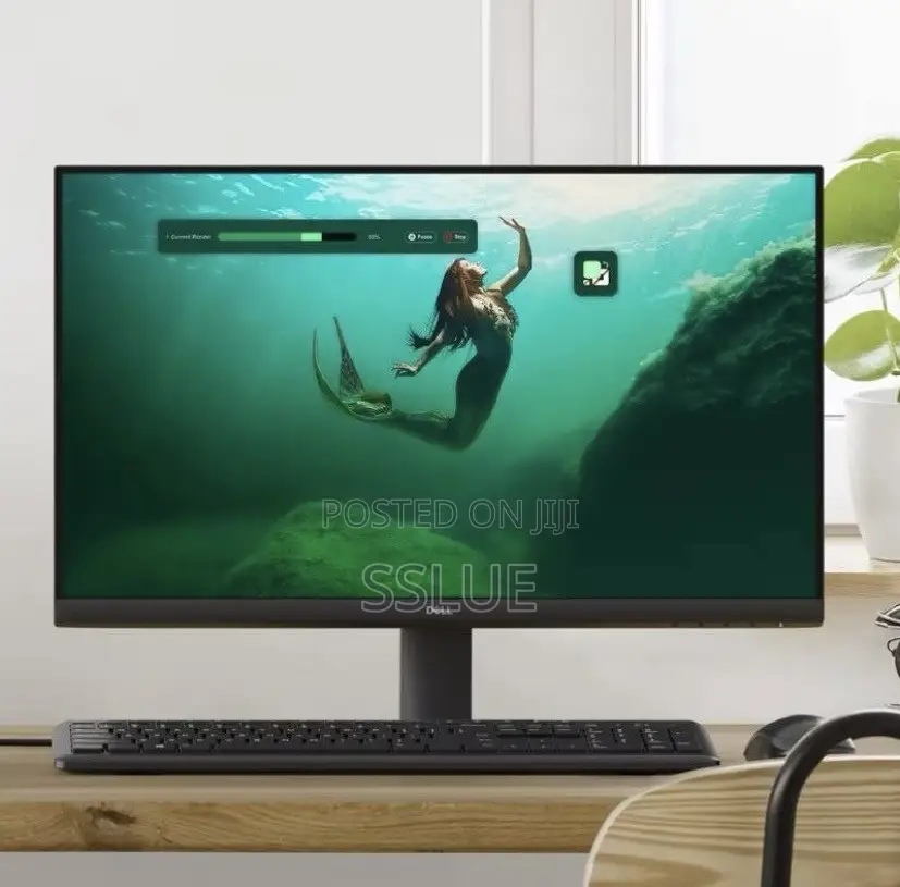 Dell 24” Monitors