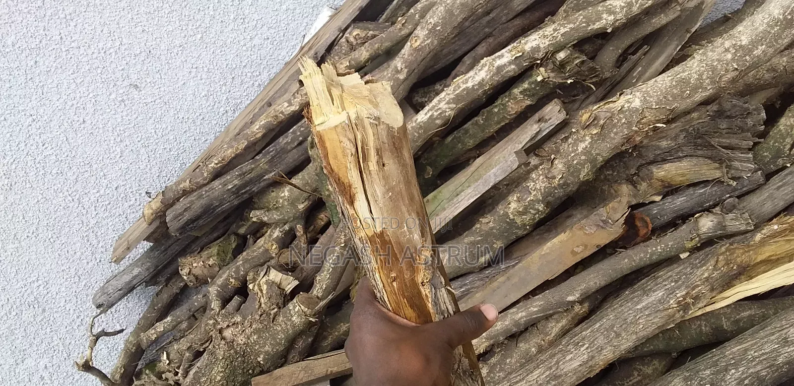 Fire Wood [መገዶ እንጨት]