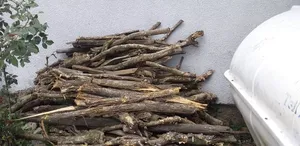 Fire Wood [መገዶ እንጨት]