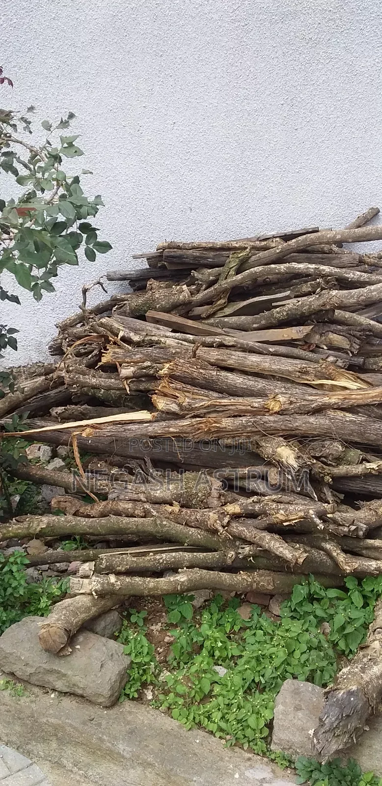Fire Wood [መገዶ እንጨት]