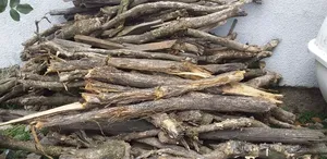Fire Wood [መገዶ እንጨት]