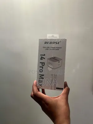 iPhone Charger