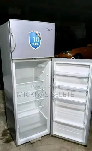 SKY 300 Liter Frige