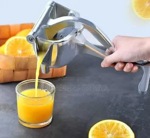 Manual Fruit Press