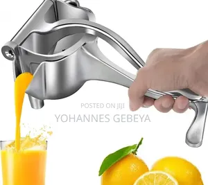 Manual Fruit Press