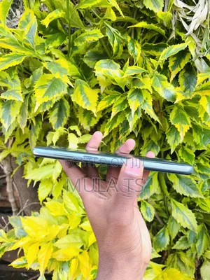 Samsung Galaxy M33 5G 128 GB