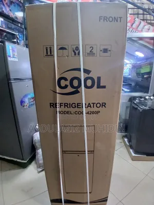 Best Cooler Fridge