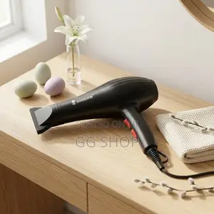 Original Hair Dryer 2400W