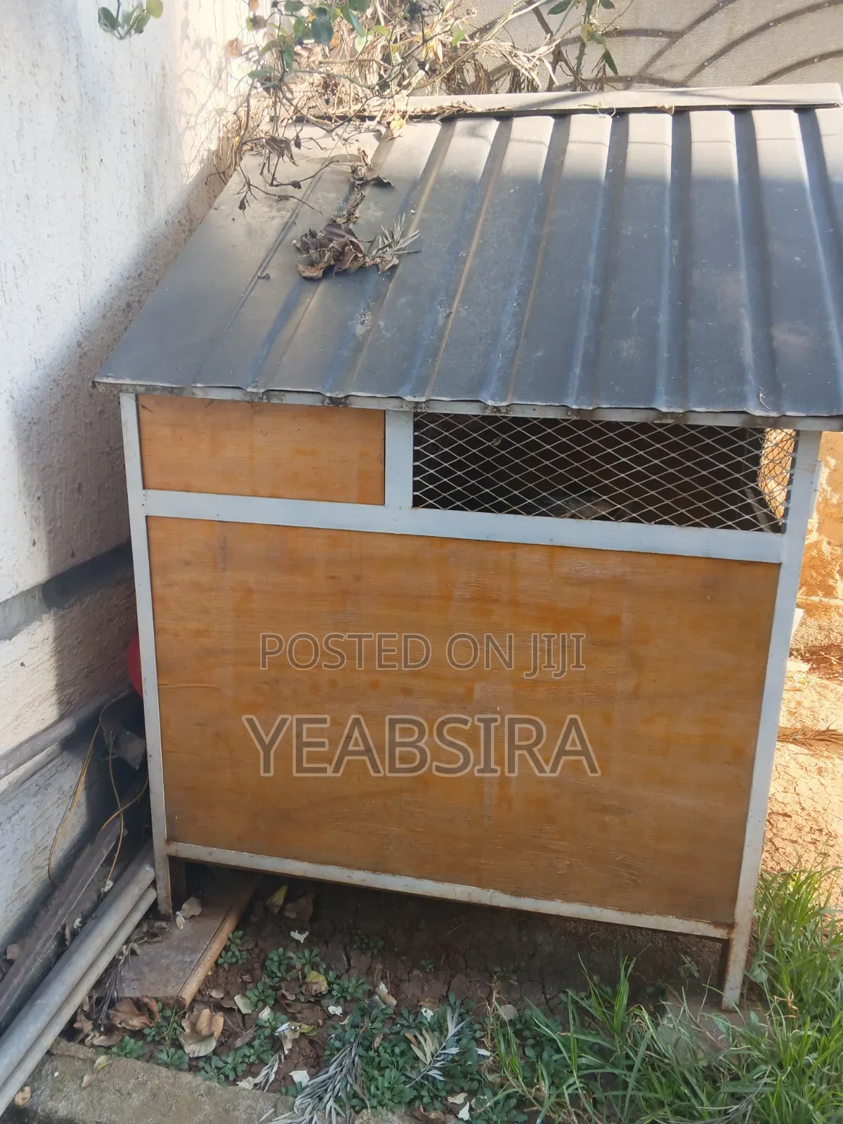 Used Dog Hous