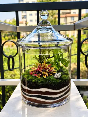 Custom Terrariums