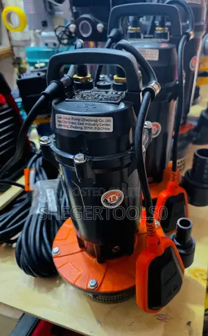 Leo Submersible Pump