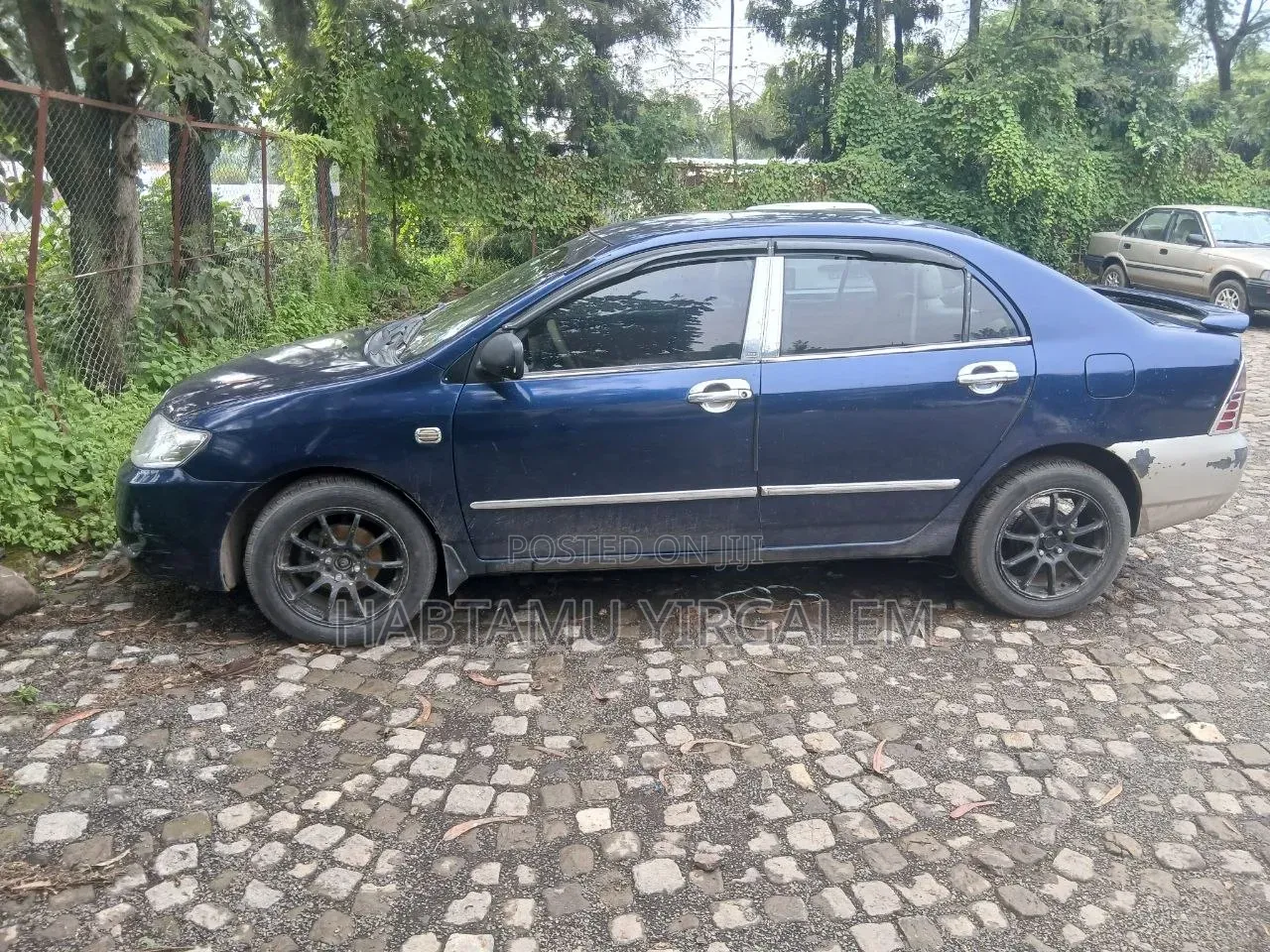 Toyota Corolla 2005 Blue