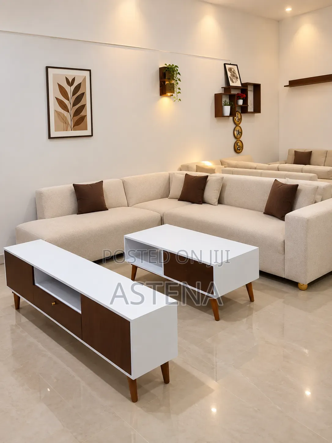 Sofa +Center Table +Tvstand