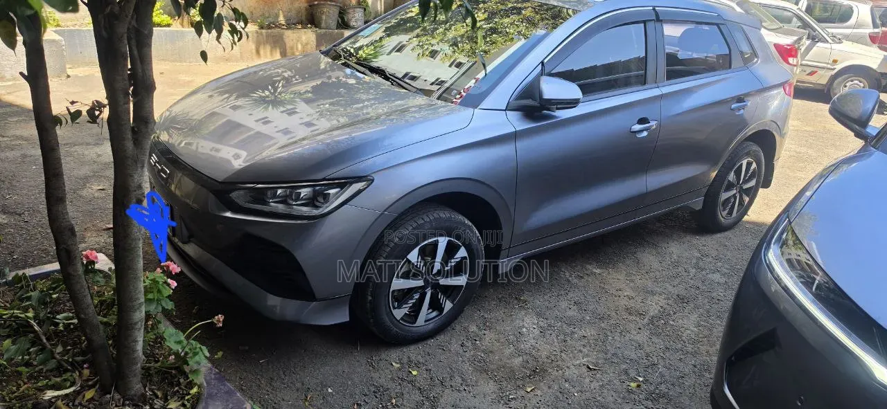 BYD E2 43 kWh 94 hp FWD 2024 Silver