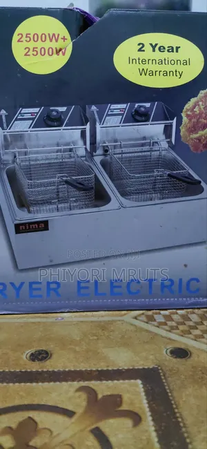 Brand New Double Electric Fryer
