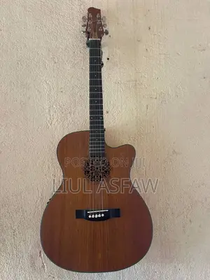 Smiger LG-01 Acoustic Guitar – Excellent Condition