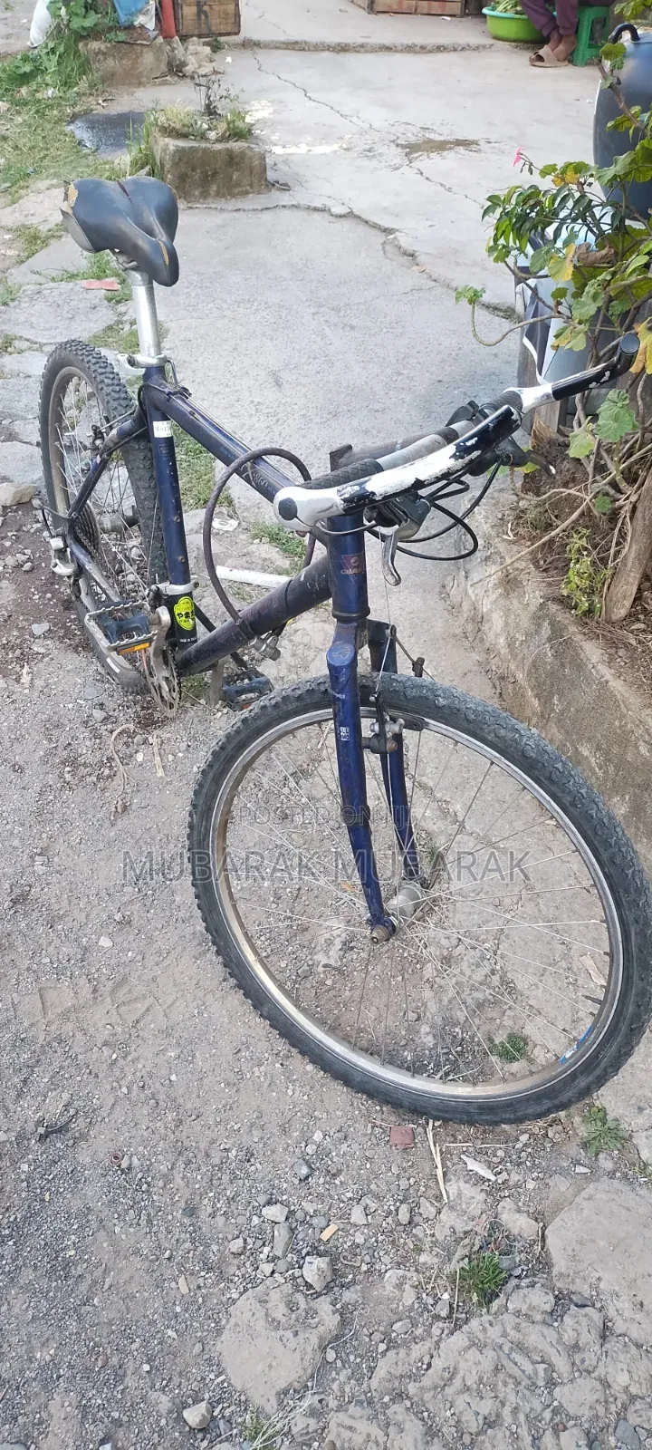 Europe Bike Full Aluminum