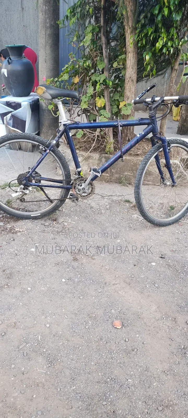 Europe Bike Full Aluminum