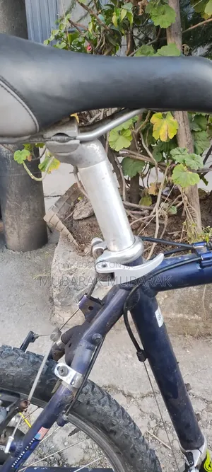 Europe Bike Full Aluminum