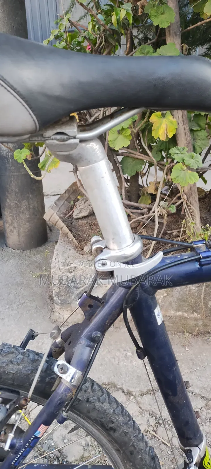 Europe Bike Full Aluminum