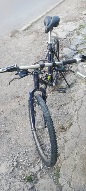 Europe Bike Full Aluminum