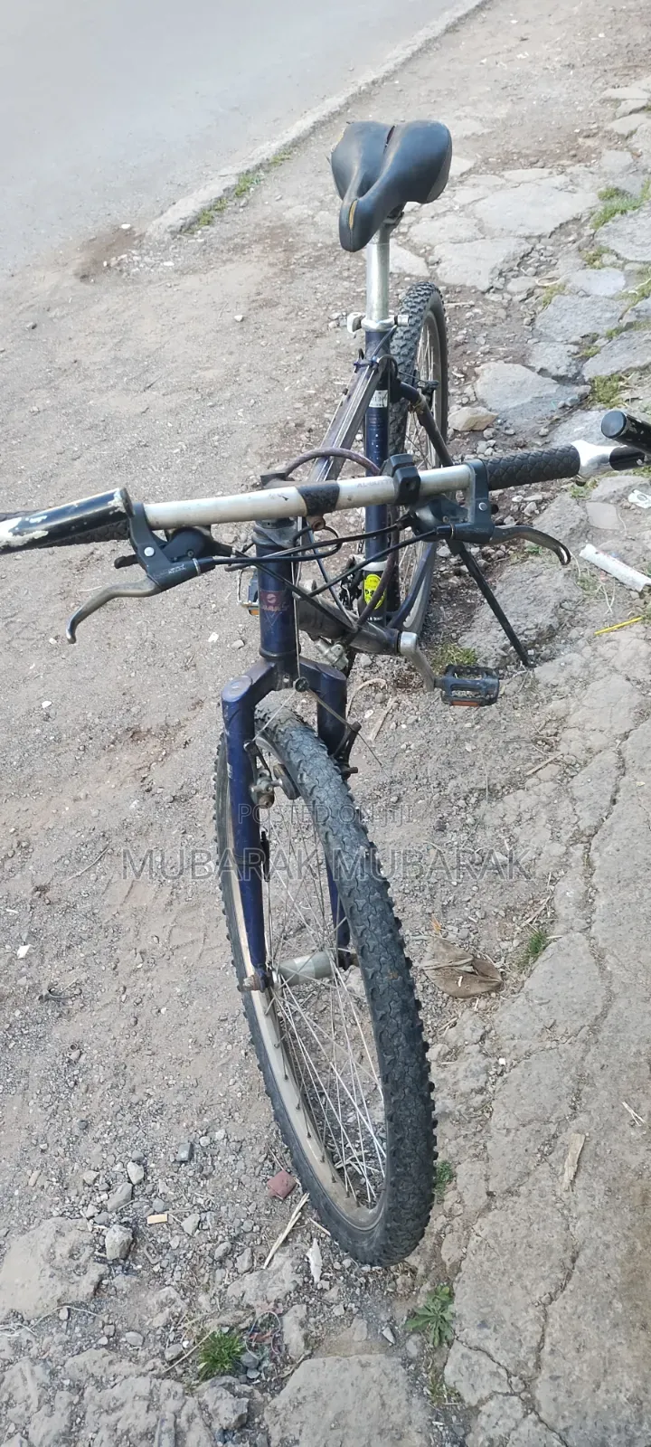 Europe Bike Full Aluminum