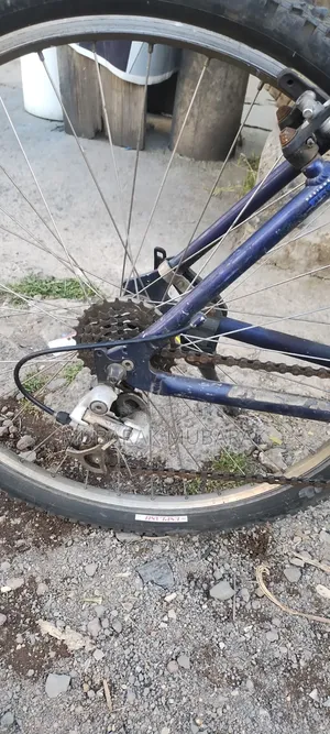 Europe Bike Full Aluminum