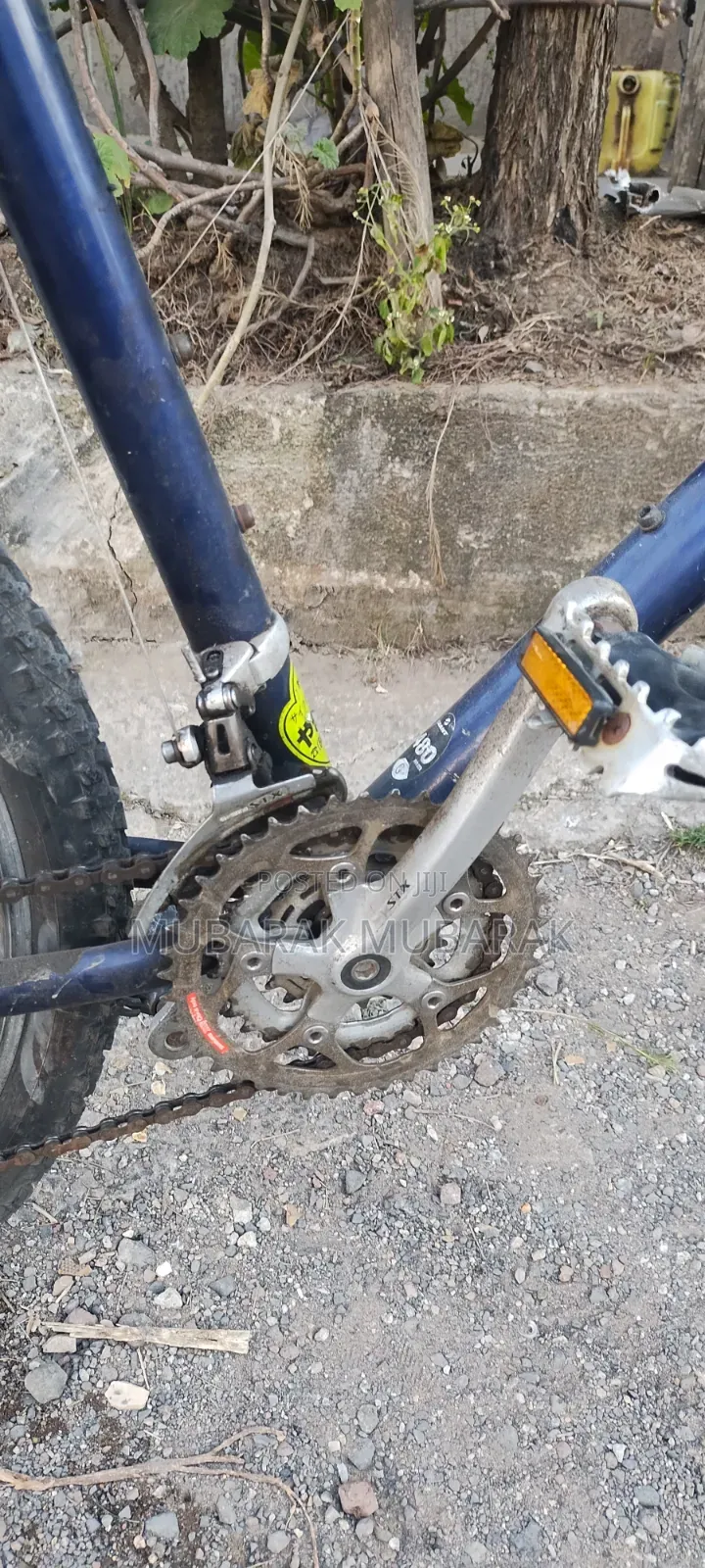 Europe Bike Full Aluminum