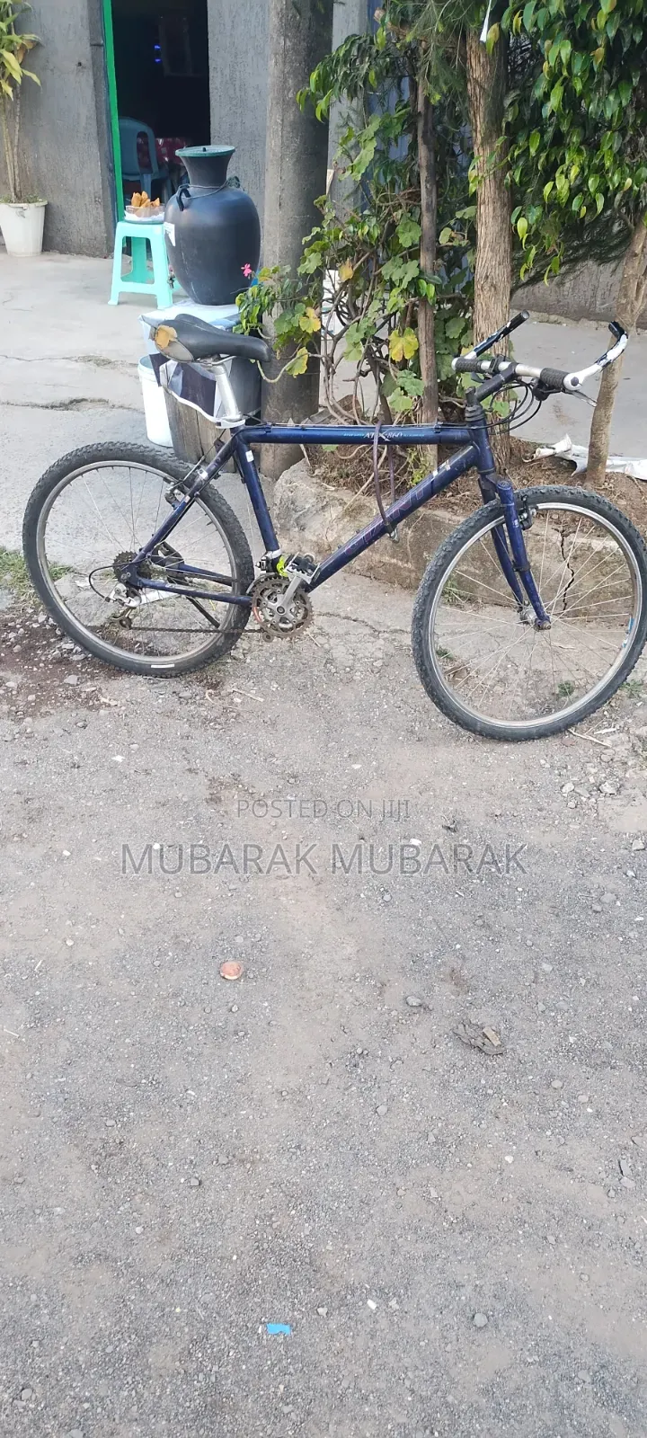 Europe Bike Full Aluminum