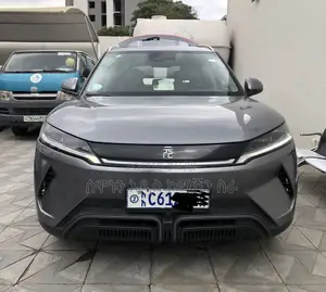 BYD Yuan Up 45 kWh FWD 2024 Gray