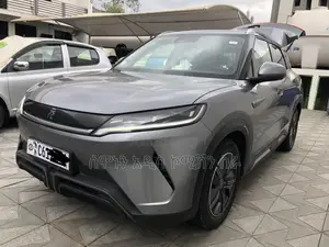 BYD Yuan Up 45 kWh FWD 2024 Gray