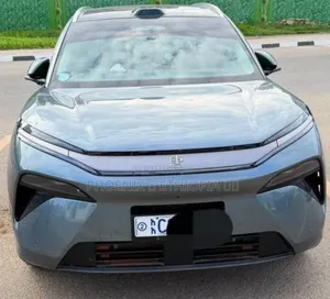 BYD Tang DM-i 2025 Gray