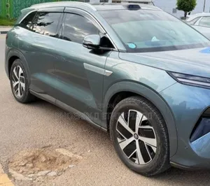 BYD Tang DM-i 2025 Gray