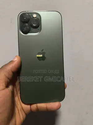 Apple iPhone 13 Pro Max 256 GB Green