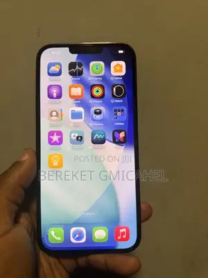 Apple iPhone 13 Pro Max 256 GB Green